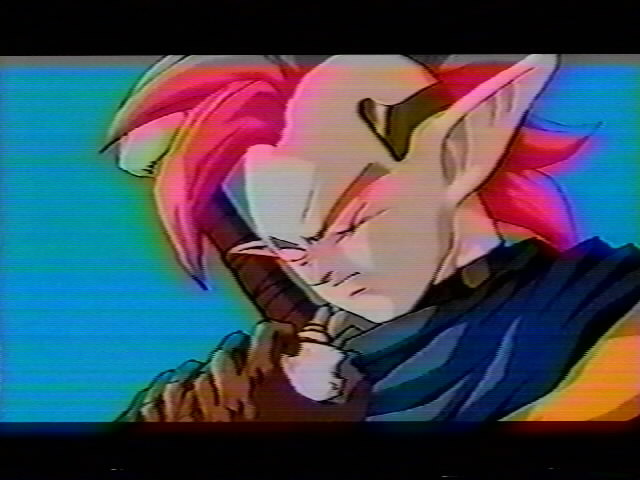 Dragonball Z Movie 13 (48).jpg